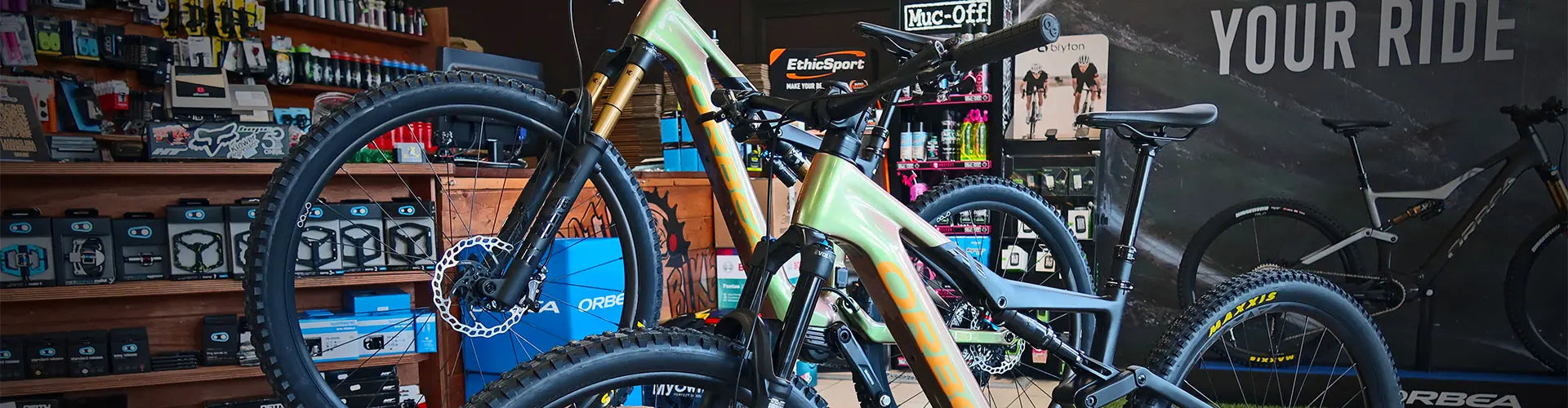 Acquista MTB Online la Guida Completa per Scegliere la Bici Giusta Dottorbike Negozi Bici Online