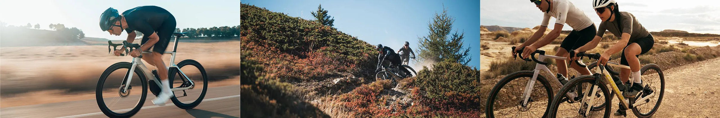 Vendita Biciclette Online da Dottorbike negozio bici a Pisa in Toscana