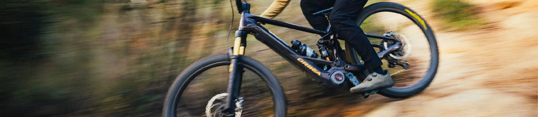 Scopri la nuova mountain bike elettrica Wild 2024 di Orbea di cui DottorBike è rivenditore ufficiale
