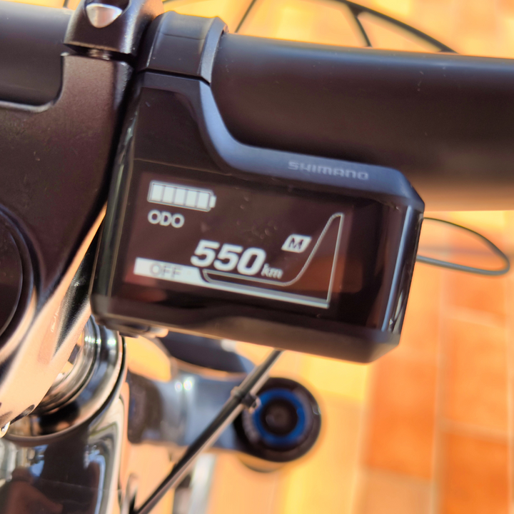 SANTA CRUZ HECKLER CC MX LITE XT 2021