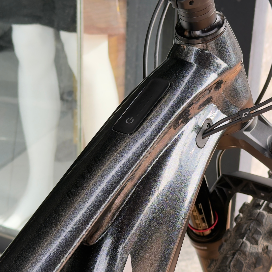 GIANT REIGN E+ MX PRO 2022