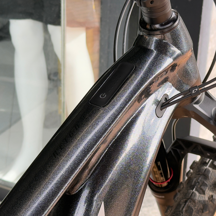 GIANT REIGN E+ MX PRO 2022