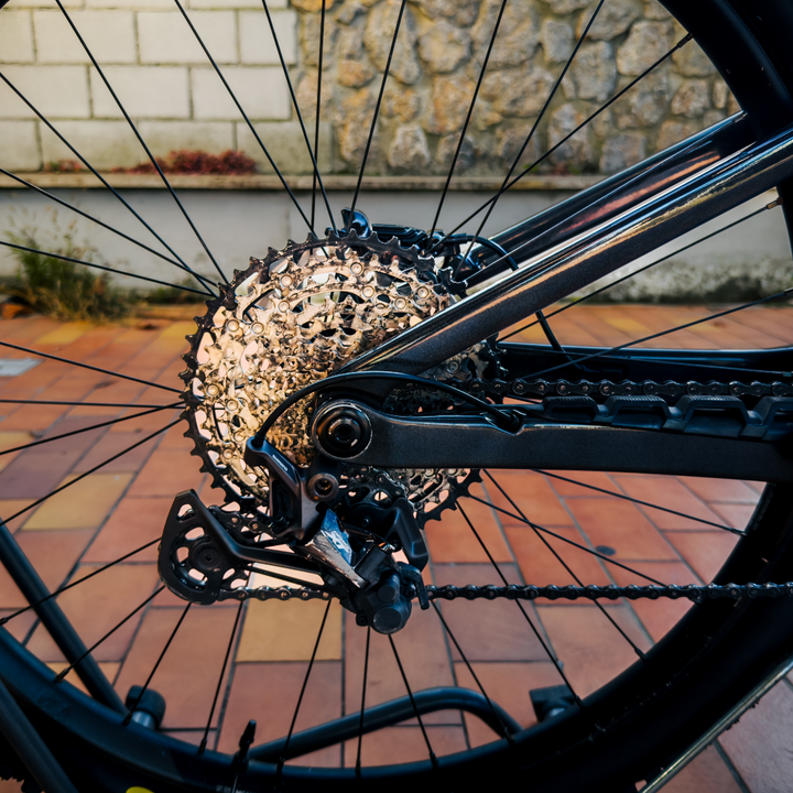 Orbea Rise LT M10 2025 630wh Dottorbike Factory