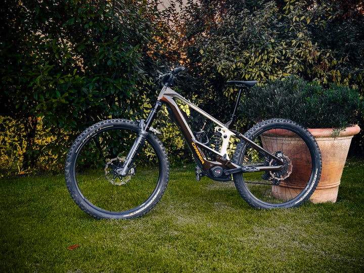 ORBEA WILD M20 29" 2026 EX DEMO
