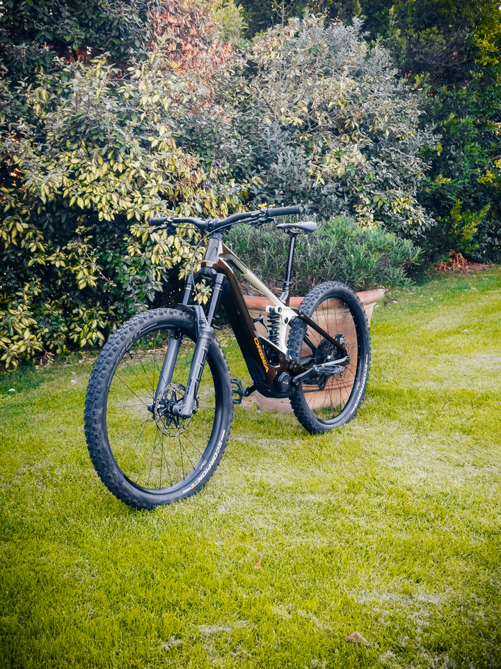 ORBEA WILD M20 29" 2026 EX DEMO
