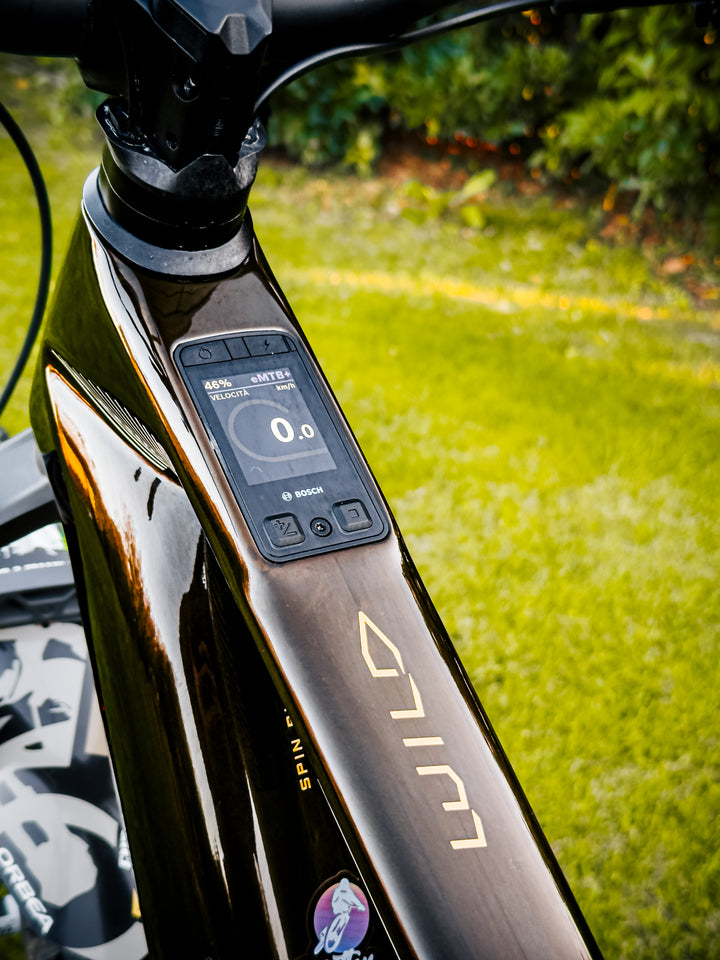 ORBEA WILD M20 29" 2026 EX DEMO