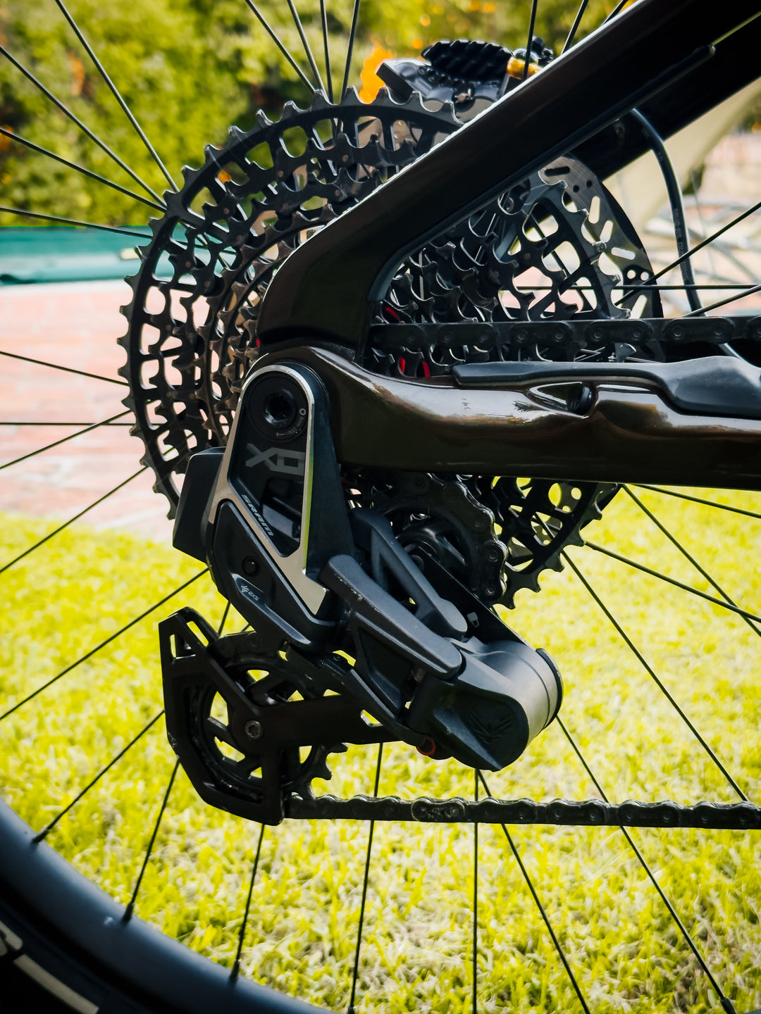 ORBEA WILD M20 29" 2026 EX DEMO