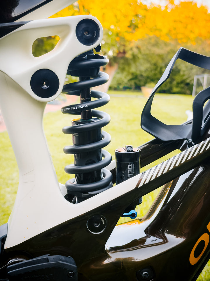 ORBEA WILD M20 29" 2026 EX DEMO