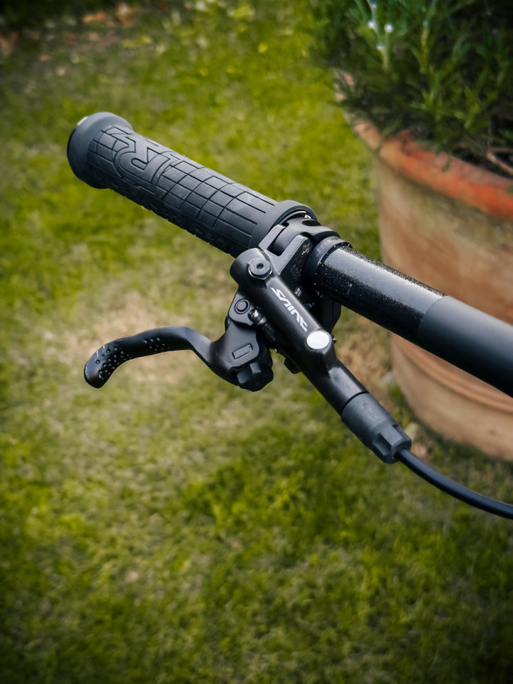 ORBEA WILD M20 29" 2026 EX DEMO